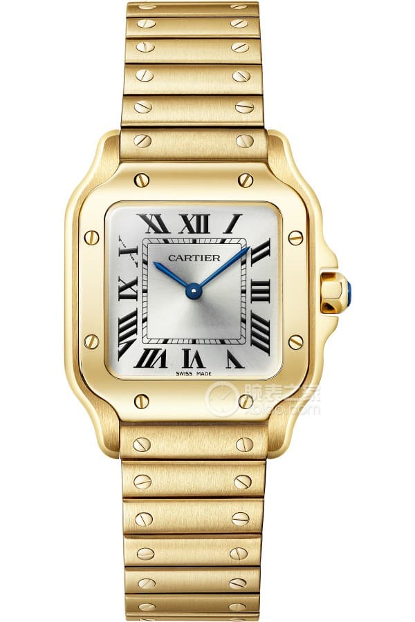 Cartier Santos WGSA0107