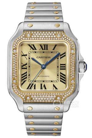 Cartier Cartier PASHA DE CARTIER 42MM WJ120251 — фото 3
