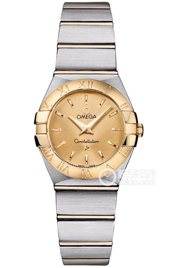 Omega 24 123